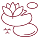Lily Pond